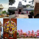 Naga Devatha Temple Tirumalagiri
